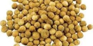 Whole Coriander Seeds