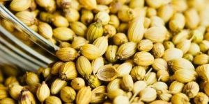 Coriander Seeds