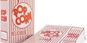 Popcorn Rectangle Boxes