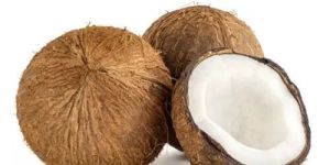 Fresh Coconut