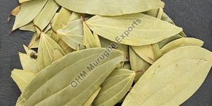 Bay Leaves