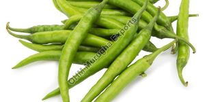 Fresh Green Chilli
