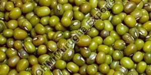 Green Moong Dal