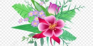 Exotic Flowers