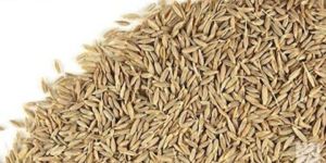 Jeera Powder