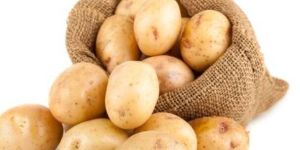 Potato