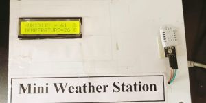 Mini Weather Station