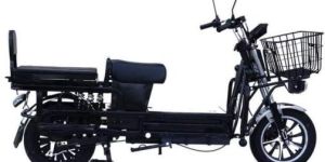 Electric Rickshaw Loader