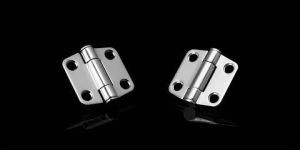 Brass and SS Hinges