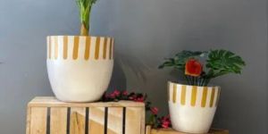 FRP Designer Garden Planter