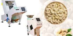 Cashew Color Sorting Machine