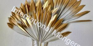 Dried Palm Leaves Dual Color