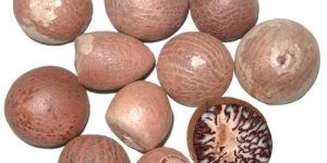 Organic Areca Nuts