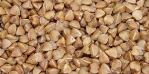 Buckwheat Grain