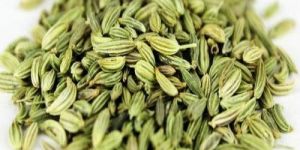 Fennel Seeds