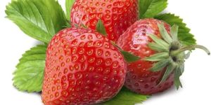Fresh Strawberry