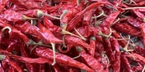 Dry Red Chilli with Stem