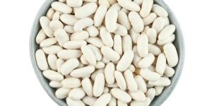 White Kidney Beans