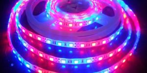 Flower Blue LED String Light , 60m