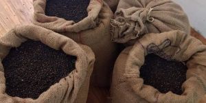 Black pepper . 12 Ton