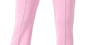 Ladies Poly Lycra Regular Fit Casual Pants