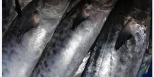 Seelavamchiram Dry Fish