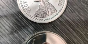Ameya Silver Coin