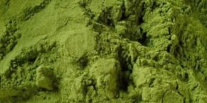Moringa Oleifera Powder