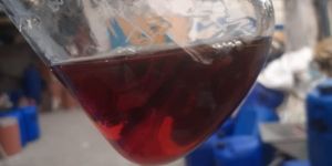 Protein Hydrolysate in Liquid