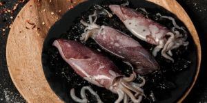 Fresh Squids Whole (Uncleaned)