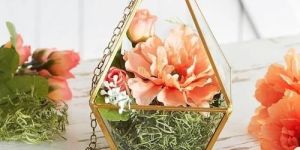 Hanging Glass Terrarium