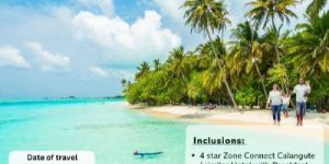 Domestic Tour Service