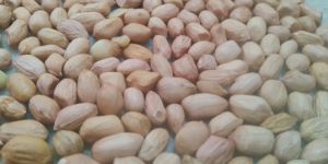 Groundnut Kernel