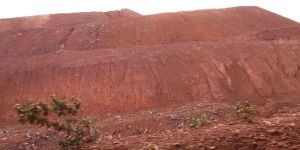 Iron Ore Fines