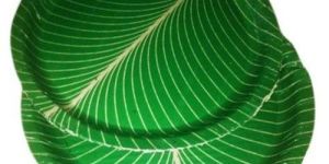 Water Barrier Coated Plates Paper