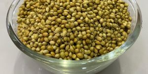Coriander Seeds