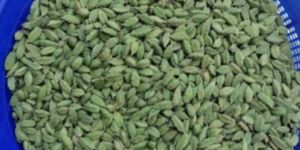 Green Cardamom 6-7mm