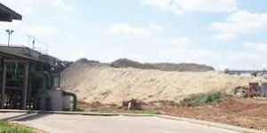 Sugarcane Bagasse