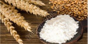 Wheat Starch