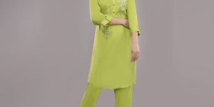 Ladies Light Green Color Embroidered Kurti Set