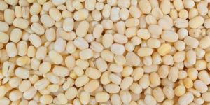 White Urad Dal