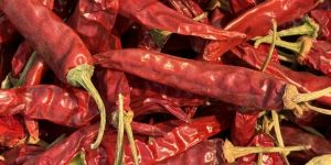 Red Chilly