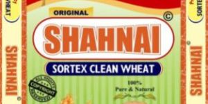 Shahnai Wheat