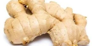 Fresh Ginger