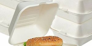 Disposable Clamshell Boxes