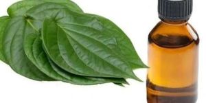 Betel Leaf Essential Oil