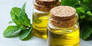 Karpooravalli Leaf Essential Oil