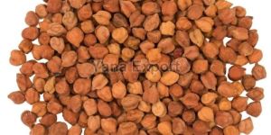 Brown Chickpeas