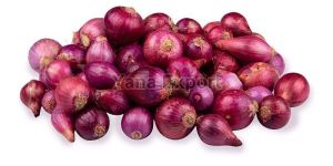 Fresh Small Onion