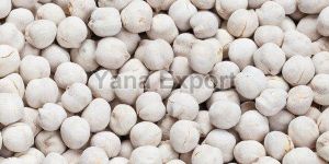 White Chickpeas
